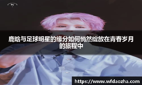 中欧zoty体育